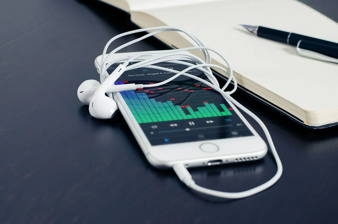 Deezer Downloader: Keep Your Music In Your Device